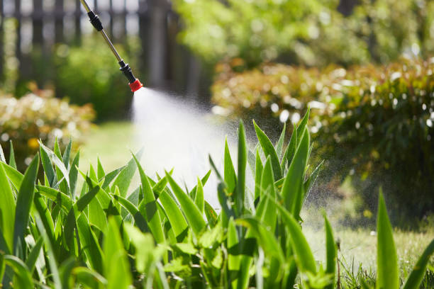 24/7 Emergency Cockroach Control experts in Terrace Heights, WA