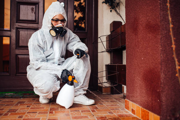 Reliable Cockroach Control contractor in Terrace Heights, WA by Nex Pest Control