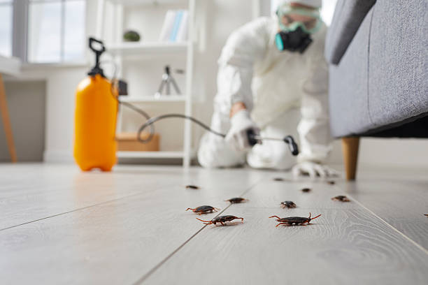 Trusted Termite Control service in Terrace Heights, WA - Nex Pest Control